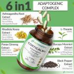 Cortisol Reducing Supplements – 6-in-1 Cortisol Detox & Blocker with Ashwagandha, Rhodiola, L-Theanine, Ginseng, Bacopa & Black Pepper – Stress Support & Adrenal Balance – 90 Capsules 3 Month Supply