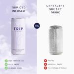 TRIP CBD Drink, Sparkling Raspberry Orange Blossom, 10mg CBD Fizzy Drink, Low Calorie, Vegan (Pack of 12 x 250ml)