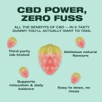 Swiss Peak 1200mg CBD Gummies, Delicious Edible Strawberries, UK-Made, Vegan, THC-Free, Premium CBD for Relaxation & Wellness, On-The-Go Grab Bag – 20 Gummies Per Pack