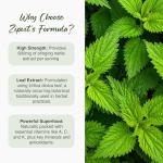 Zipvit Stinging Nettle 600mg, 200mg Per Tablet, 90 High Strength Vegetarian Tablets, Potent Antioxidant