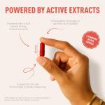 FitLab Weighto - Weight Management Support Gym Essential, with Green Tea Extract + Caffeine, Vegan Food Supplement for Energy & Focus, 90 Capsules (45 Day Supply).