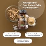Organic Ashwagandha Capsules - 180 Capsules (6 Months Supply) - with Organic Black Pepper - 1 per Day - Soil Association Certified Ashwagandha Supplement - Non-GMO, Vegan-Friendly & Additive-Free