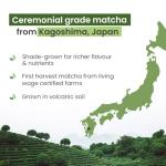 PureChimp Ceremonial Grade Matcha Powder 50g. 100% Pure Green Tea. Shade-Grown for MatchaLatte, Teas & Recipes. Recyclable Glass Jar. Antioxidant-Rich.