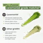 PureChimp Ceremonial Grade Matcha Powder 50g. 100% Pure Green Tea. Shade-Grown for MatchaLatte, Teas & Recipes. Recyclable Glass Jar. Antioxidant-Rich.