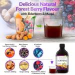 Turmeric Curcumin with Probiotics & Enzymes - Fermented High Strength Liquid Turmeric Supplement with Black Pepper & Ginger Equivalent to 2 Turmeric Capsules - Turmeric Shots