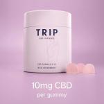 TRIP CBD Infused Wild Strawberry Gummies (60 Gummies). High Strength CBD Edibles. 600MG CBD – Vegan, THC-Free, Natural Flavour