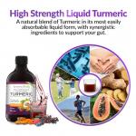 Turmeric Curcumin with Probiotics & Enzymes - Fermented High Strength Liquid Turmeric Supplement with Black Pepper & Ginger Equivalent to 2 Turmeric Capsules - Turmeric Shots