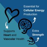 CoQ10 400mg - Highest Strength Ubiquinone Coenzyme Q10 | Powerful Antioxidant for Heart and Vascular Health, Essential for Energy Production | 60 Capsules - 2 Month Supply | Made in The UK