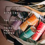 Goodrays - 30mg CBD Drink Mixed Pack - 4 x 250ml Cans - Natural Flavours, Low Calorie, Vegan - 4 Great Flavours - High Strength (30mg/can), All Natural - Reduce Stress & Unwind