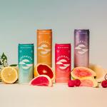 Goodrays - 30mg CBD Drink Mixed Pack - 4 x 250ml Cans - Natural Flavours, Low Calorie, Vegan - 4 Great Flavours - High Strength (30mg/can), All Natural - Reduce Stress & Unwind