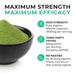 Organic Matcha Green Tea Capsules, 2 Month Supply - 120 Capsules, 1000mg with 50mg ECGC per Serving (Lab Tested), Powerful Anti-Oxidant, No Fillers, Pure Matcha Powder - Love Life Supplements