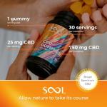 SOOL CBD Gummies 750mg 30pcs | 25mg CBD Gummy | Apple & Lemon Flavour | Cannabidiol CBD Oil Edibles | CBD Oil | Stress & Anxiety Relief | Calm, Unwind, Improve Sleep