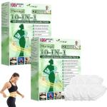 GFOUK Moringa 10-in-1 Advanced Nano Microneedle Patch, Natural Metabalance Patch, GFOUK Weight Loss Patches, Microneedlepatch, Gentle Soothing, for Women & Men, All Body Types (2 Box)