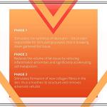 Eveline Cosmetics Slim Extreme 4D Liposuction Serum - Intensive Slimming & Reshaping Serum with Lipocell-Slim™, Isocell Slim, L-Carnitine, Q10, and Ginkgo Extract - 250 ml