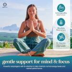 Ashwagandha Gummies for Mood Balance, Calm & Stress Relief, 60 Gummies - Citrus Orange Flavour with Ashwagandha High Strength Extract, Rhodiola & B Vitamins - 100% Vegan - Helps Mood, Focus & Stress