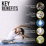 Nuke Nutrition Green Tea Extract - 60 Tablets - High Strength Green Tea Extract - Easy Swallow Green Tea Supplement Pills for Detox - Green Tea Herbal Supplements High in Antioxidants & Polyphenols