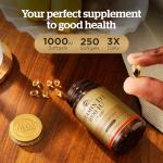 Solgar Vitamin D3 1000 IU (25 µg) Softgels - Pack of 250 - Healthy Bones and Teeth - Supports Immunity and Muscle Function - Gluten Free