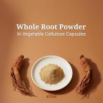 BTGIN The Root Original Korean Red Panax Ginseng Supplement - 100% Whole Fine Root Powder with Natural Fiber & Minerals - Caffeine Free Stamina, Wellness & Immunity Support - 60 Capsules