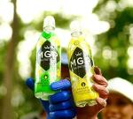 MGP Sugar Free Hydration Drink With Essential Vitamins, Pack of 12, Sports Recovery Electrolytes, Low Carbs, Fat & Gluten Free, Vegan Friendly, Vitamin C, B3, B5, B1, B6, B12 Supplement, Pineapple