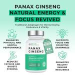 Panax (Korean) Ginseng 3500mg 20% Ginsenosides | 4 Month Supply - 120 High Strength Capsules with No Bulking Agents | for Improved Memory, Athletic Endurance, Stress Reduction | Love Life Supplements