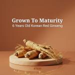 BTGIN The Root Original Korean Red Panax Ginseng Supplement - 100% Whole Fine Root Powder with Natural Fiber & Minerals - Caffeine Free Stamina, Wellness & Immunity Support - 60 Capsules