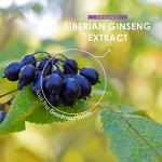 Organic Siberian Ginseng 10,000mg - High Strength Eleutherococcus Senticosus 15:1 Extract - 120 Vegan Capsules – Resealable and Recyclable Pouch by Alpha01