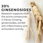 Panax (Korean) Ginseng 3500mg 20% Ginsenosides | 4 Month Supply - 120 High Strength Capsules with No Bulking Agents | for Improved Memory, Athletic Endurance, Stress Reduction | Love Life Supplements