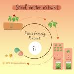 Vegavero Panax Ginseng | 4,800 mg (8:1 Extract) | with 20% Ginsenosides | NO Additives | 120 Vegan Capsules | Korean Red Ginseng