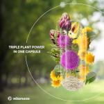 Milk Thistle High Strength 6000mg (3 Months) with Dandelion & Artichoke, High Dose, 80% Silymarin Extract, Natural Liver Cleanse Supplement, 90 Vegan Capsules. Vitamaze®