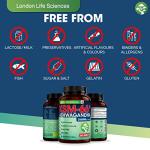 LONDON LIFE SCIENCES 365 Tablets KSM-66 Ashwagandha 2000mg +5 Percent Withanolides Highest Concentration Vegan Organic Root Extract UK Supplier London