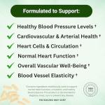 Hyper10+ Blood Pressure Support Supplement | Promotes Cardiovascular Health and Blood Vessel Dilation | Supports Healthy Blood Pressure