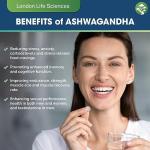 LONDON LIFE SCIENCES 365 Tablets KSM-66 Ashwagandha 2000mg +5 Percent Withanolides Highest Concentration Vegan Organic Root Extract UK Supplier London