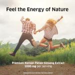 ORZAX Korean Panax Ginseng Capsules with 30% Ginsenosides for Performance & Energy Supplements for Women and Men - Red Ginseng for Enhanced Focus (120 Veg Capsules)