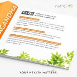 Nutravita Organic Ashwagandha KSM-66® with 5% Withanolides - Vegan Friendly with The Highest Concentration Most Bioavailable Full-Spectrum Root Powder for Immune Support - Made in The UK