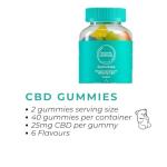 Botanic Wellness CBD Gummies – 1000MG (40 x 25MG) | Vegan | THC-Free | 6 Fruity Flavours