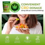 Sugar Free CBD Gummies 1000mg - 20mg x 50 - CBD Gummy Bears, THC Free, CBD Edible Gummies for Adults (HIGH Strength)