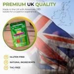 Sugar Free CBD Gummies 1000mg - 20mg x 50 - CBD Gummy Bears, THC Free, CBD Edible Gummies for Adults (HIGH Strength)