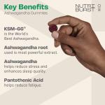 Nutriburst 300mg Ashwagandha + Vitamin B5 & Iodine - Herbal Adaptogen Reduce Tiredness & Fatigue, Supports Mental Performance - Vegan, Sugar Free Supplement - 60 Gummies - 1 Month Supply