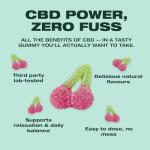 Swiss Peak, High-Strength 3200mg CBD Cherry Flavoured Gummies, 70 Gummies Per Tub, Non-GMO, All Natural & No THC, Vegan, Gluten-Free | UK-Made