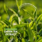 Green Tea Extract 15,000mg - 95% Polyphenols (490mg per Capsule) - 90 Vegan Capsules (3 Months Supply) - Resealable and Recyclable Pouch - by Alpha01