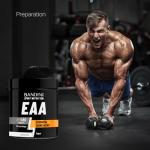 Bandini® EAA Essential Amino Acids | 480 Tablets 96-Day Supply | with All 9 EAAs Intra, Pre and Post Workout | Amino Acid Supplements for Sport | NO Additives, EAA Amino acids, Vegan Friendly
