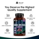 Sea Moss Tablets Extract High Strength 4000mg - Sea Moss Supplement 120 Tablets (not sea Moss Capsule) High Potency - UK Made - Vegan - Non GMO