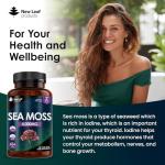Sea Moss Tablets Extract High Strength 4000mg - Sea Moss Supplement 120 Tablets (not sea Moss Capsule) High Potency - UK Made - Vegan - Non GMO