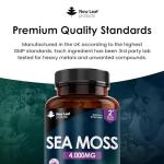 Sea Moss Tablets Extract High Strength 4000mg - Sea Moss Supplement 120 Tablets (not sea Moss Capsule) High Potency - UK Made - Vegan - Non GMO