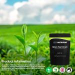 Green Tea Extract 15,000mg - 95% Polyphenols (490mg per Capsule) - 60 Vegan Capsules 2 Month Supply - letterbox Friendly Pouch