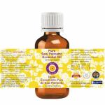 dève herbes Pure Saw Palmetto Essential Oil (Serenoa repens) 100% Natural Therapeutic Grade 2ml (0.06 OZ)