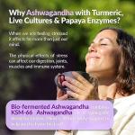 Ashwagandha KSM-66 Liquid Bio-Fermented with Turmeric, Probiotics & Digestive Enzymes for Stress, Mood & Gut Health - Natural Berry Passion Flavour