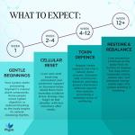 Physis Milk Thistle High Strength | 80% Silymarin | Liver Support Supplements | Milk Thistle Seeds | Vegan Food Supplement | 60 x Tablets | Made in Britain