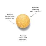 Bulk Multivitamin and Multimineral One a Day Tablets, With 21 Vitamins and Minerals, 90 Tablets, 90 Servings, Packaging May Vary