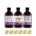 Ashwagandha KSM-66 Liquid Bio-Fermented with Turmeric, Probiotics & Digestive Enzymes for Stress, Mood & Gut Health - Natural Berry Passion Flavour